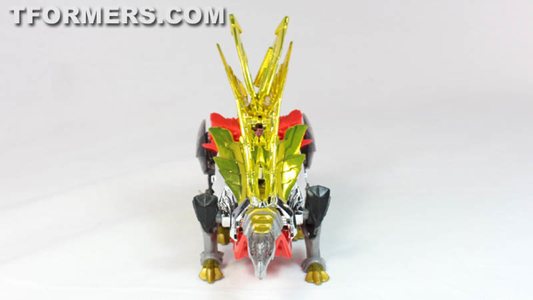 SDCC 2014   G1 Dinobots Exclusives Video Review And Images Transformers Age Of Extinction  (51 of 69)